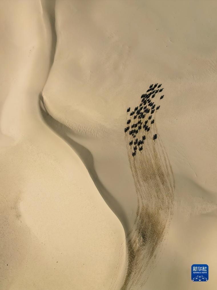 永利棋牌大厅